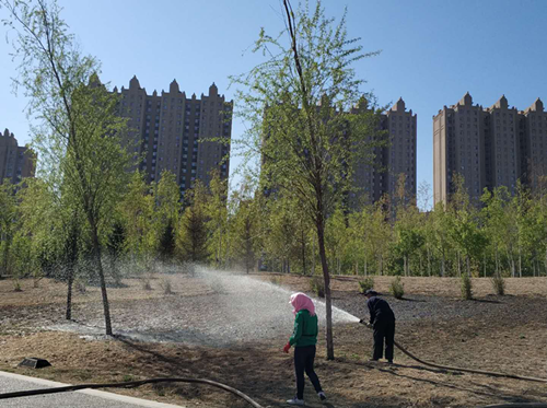 尊龙凯时 - 人生就是搏!